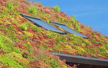Cramhurst living roof systems